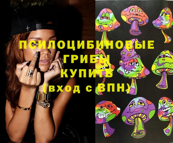 не бодяженный Алексин